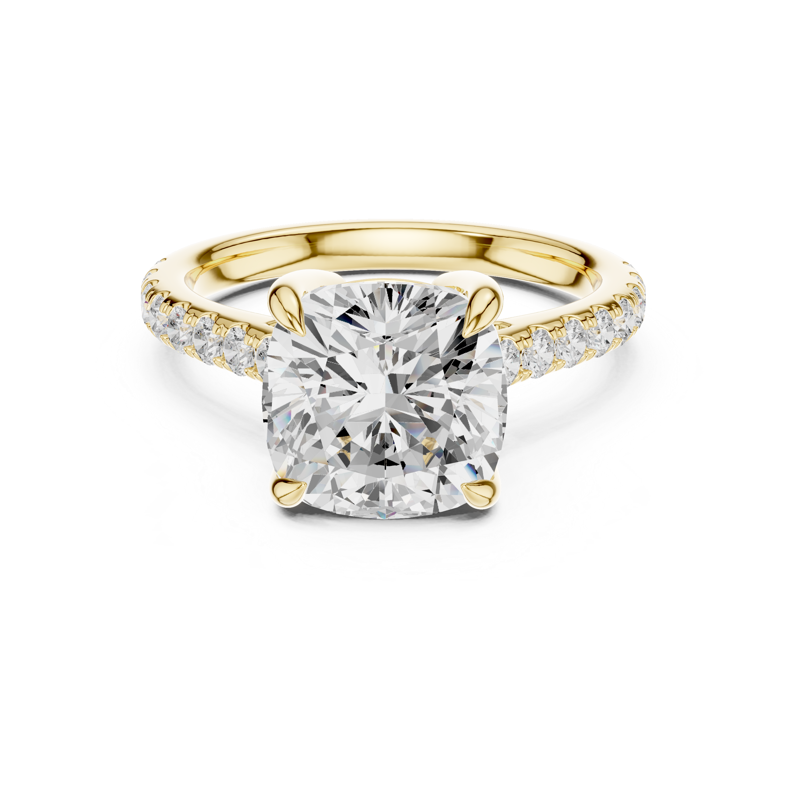 Premium featuring a bold modern design with premium aesthetic