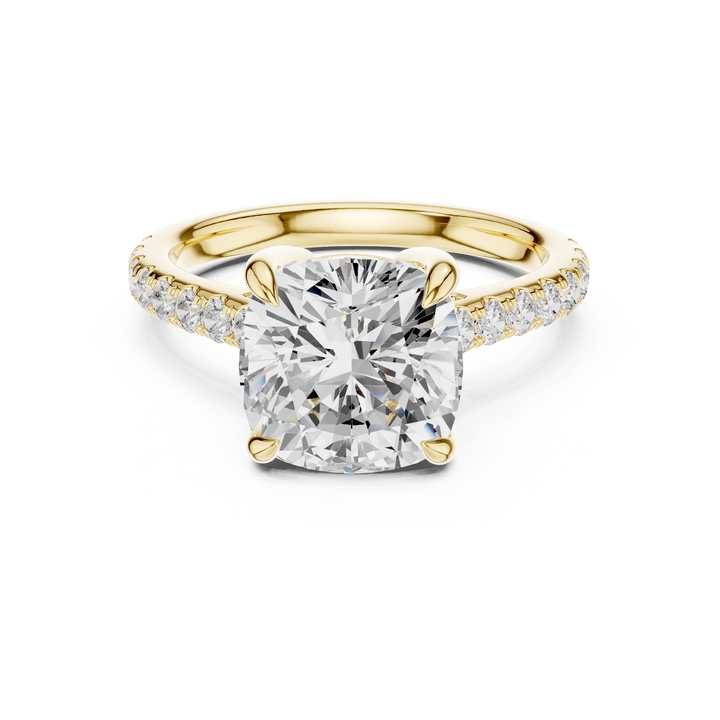 Premium featuring a bold modern design with premium aesthetic
