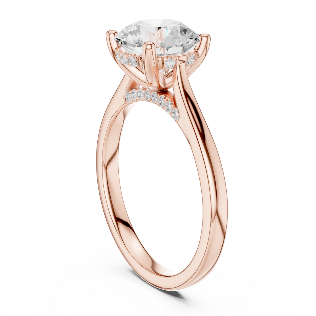 Premium featuring a bold modern design with premium aesthetic