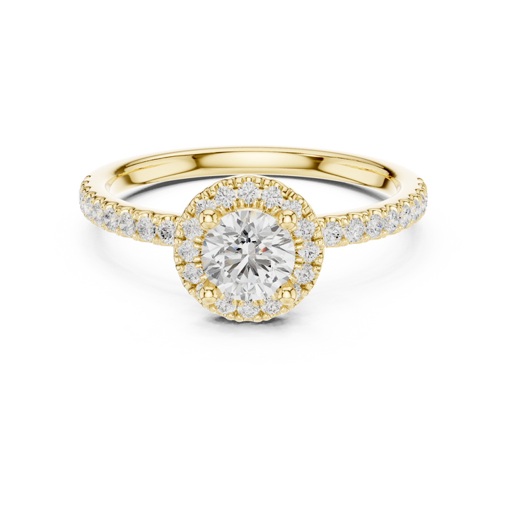 Round Brilliant Lab Diamond Halo Engagement Ring with Pavé Band