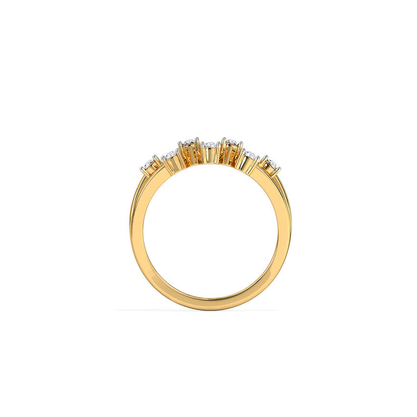 Scattered Miracle Plate Band